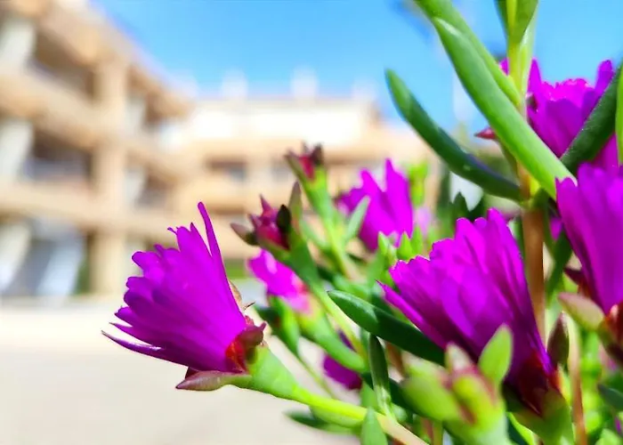 Apartamento Playa Sur By Denia Costa