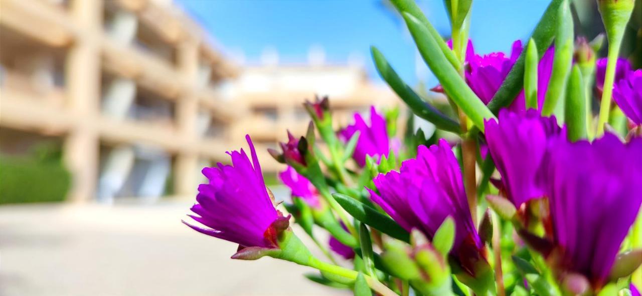 Apartamento Playa Sur By Costa Appartement